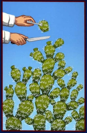 Nopalitos Frescos, by Carmen Lomas Garza.