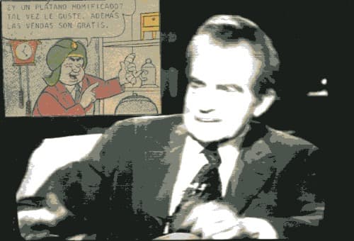 The Nixon Interviews — Plate 7, 1977.