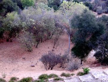 Photograph, by William Marquez Bejarano titled Linda Vallejo's Back Terrace.